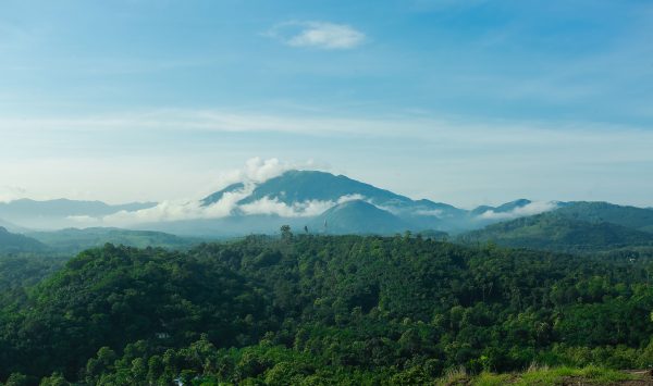 Thodupuzha Hills